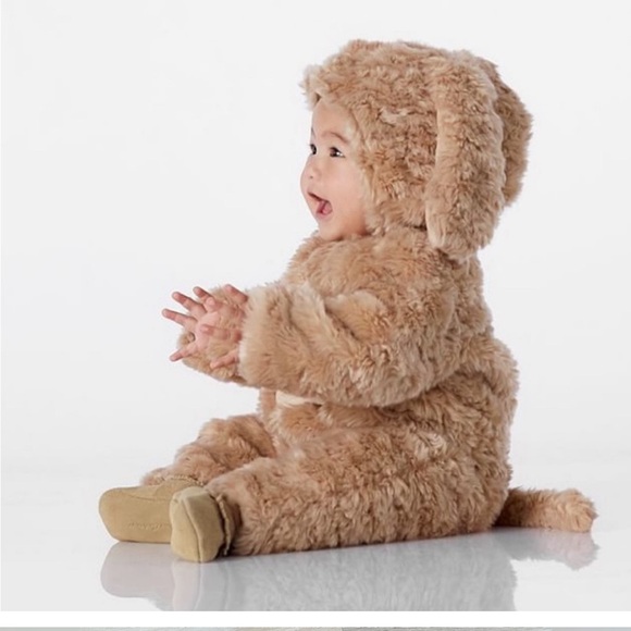 Pottery Barn Kids Cozy Brown Puppy Costume - Picture 1 of 10